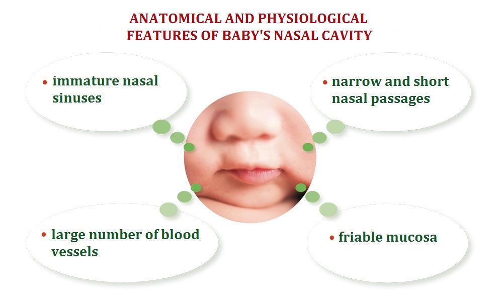 physiology baby